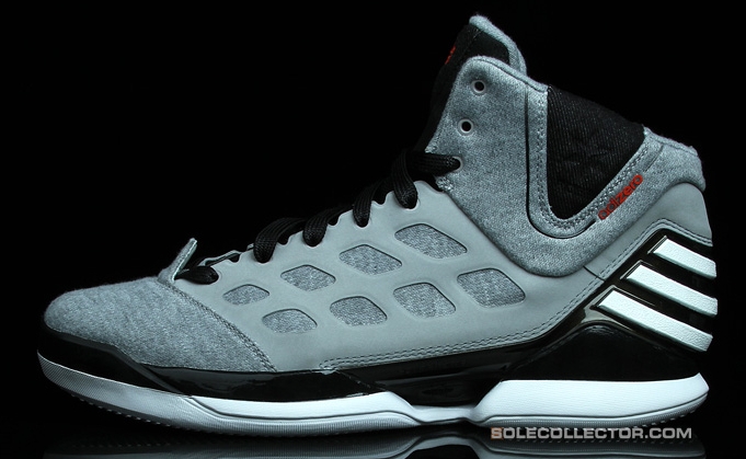 d rose 2.5 shoes