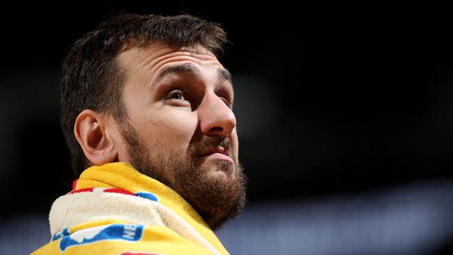 andrew bogut