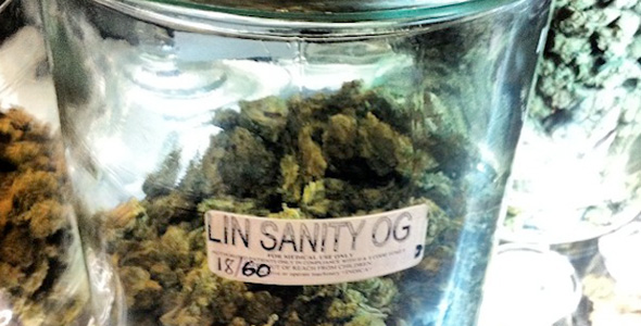 Lin’s Legal Team Sends C&D Letters to Marijuana Shops Over “Linsanity OG”