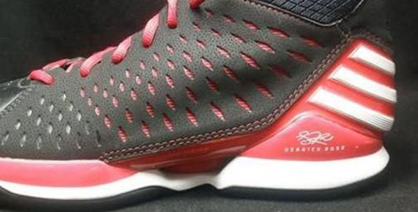 adidas adiZero Rose 2.5 x 3.0 Sample